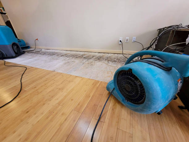 Professional Basement Flood Cleanup technician working in Huachuca City, AZ
